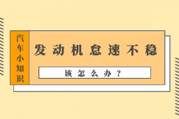 发动机怠速不稳 怎么办
