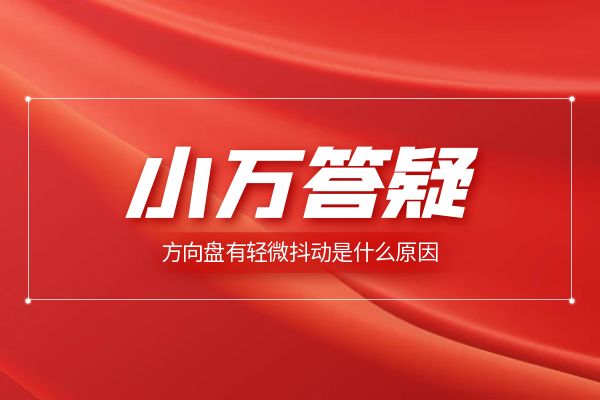 方向盘有轻微抖动是什么原因