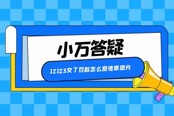 12123交了罚款怎么查违章图片